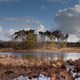 Hatertse en Overasseltse Vennen